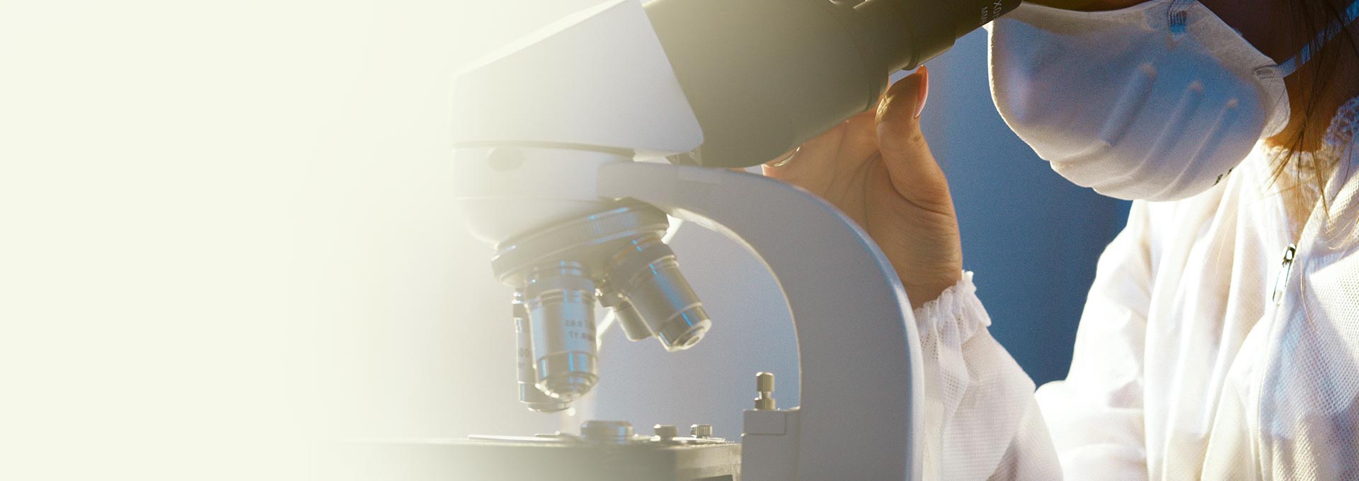 《Filmbase Technology》